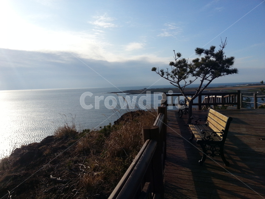 제주,하늘,바다,자연,길,풍경