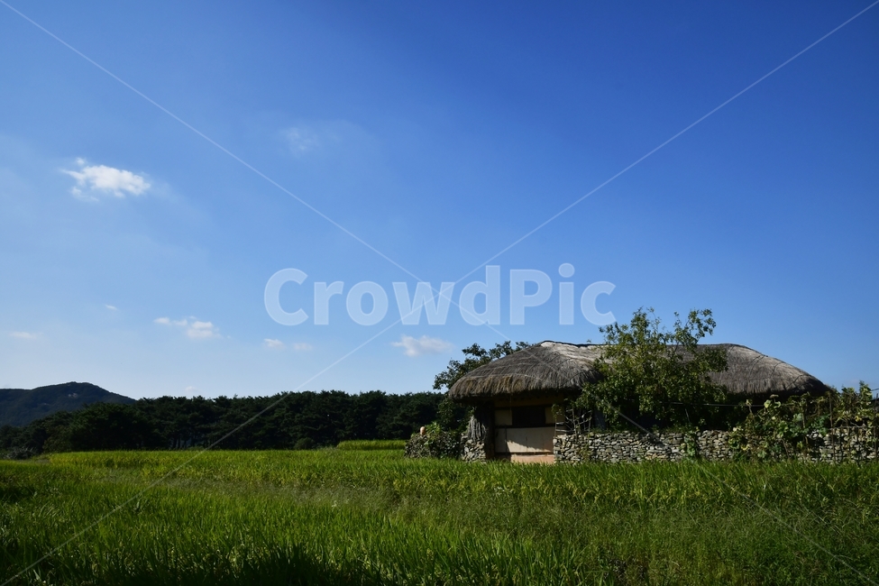 초가집,민속마을,시골,nature,자연,outdoors,building,건물,고전건축