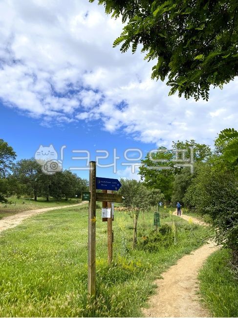 Camino de Santiago,milestone,pilgrim,Spain,solo travel,Europe,peaceful,trekking,walking,road,trail,path,hiking