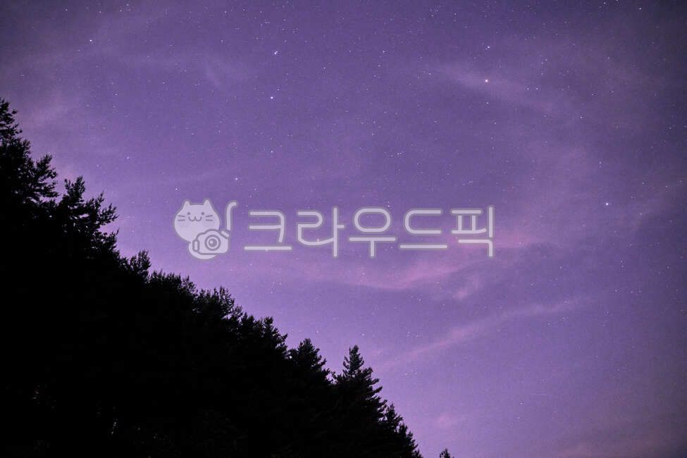 Galaxy,star,Starlight,nature,strar,purple night sky,Milky Way,outdoors,night sky,Take off your dog