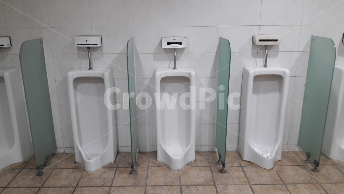 화장실,소변기,남자화장실,공중화장실,공공화장실