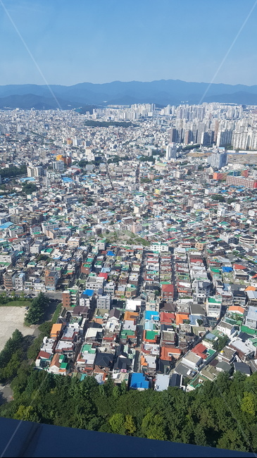 대구,옥상,옥외,풍경,경치,어반,조감도,건물,아파트,주택,outdoors,도시,광역시,nature