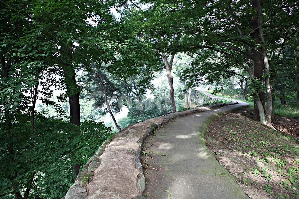 공주산성,산성,성,성곽,길,둘레길,숲,숲길,안개,담,돌담,여름,풍경,흙담,나무,식물,유네스코등제