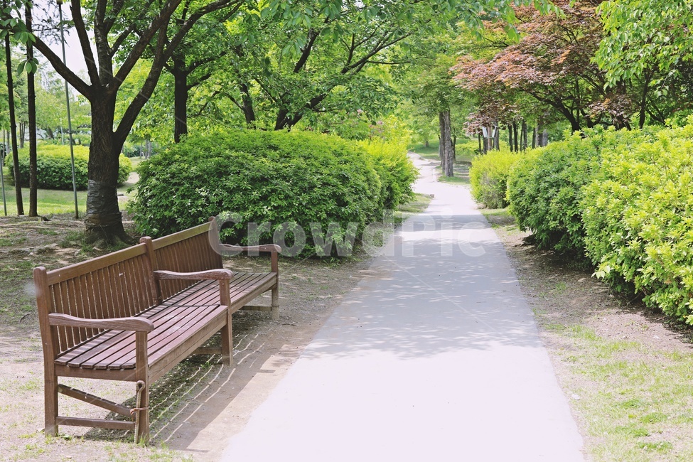 산책로,나무,공원,tree,park,trail,nature,road,길,벤치,의자,bench,자연,풍경,nature,landscape,outdoors,옥외,garden,정원