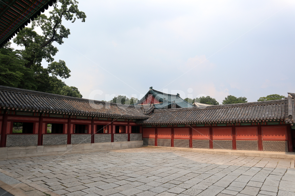 창덕궁,후원,한국의궁,세계문화유산,문화유산,한국건축물,건축외관,과거,지붕,궁궐,서울,관광,나무,하늘,숲,기와,비원,한국랜드마크,랜드마크,한국관광지,한국명소,유형문화재,처마,야외,한국의미