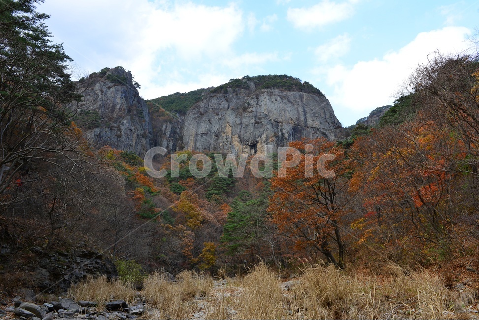 경북,청송,주왕산,주왕산가을,추색,가을,추경,단풍,단풍잎,cliff,낭떠러지,plant,식물,leaf,잎,tree,나무,ground,바닥,treetrunk,나무줄기,nature,자연,outdoors,옥외,경치,경관,풍경,자연,풍경,nature,landscape