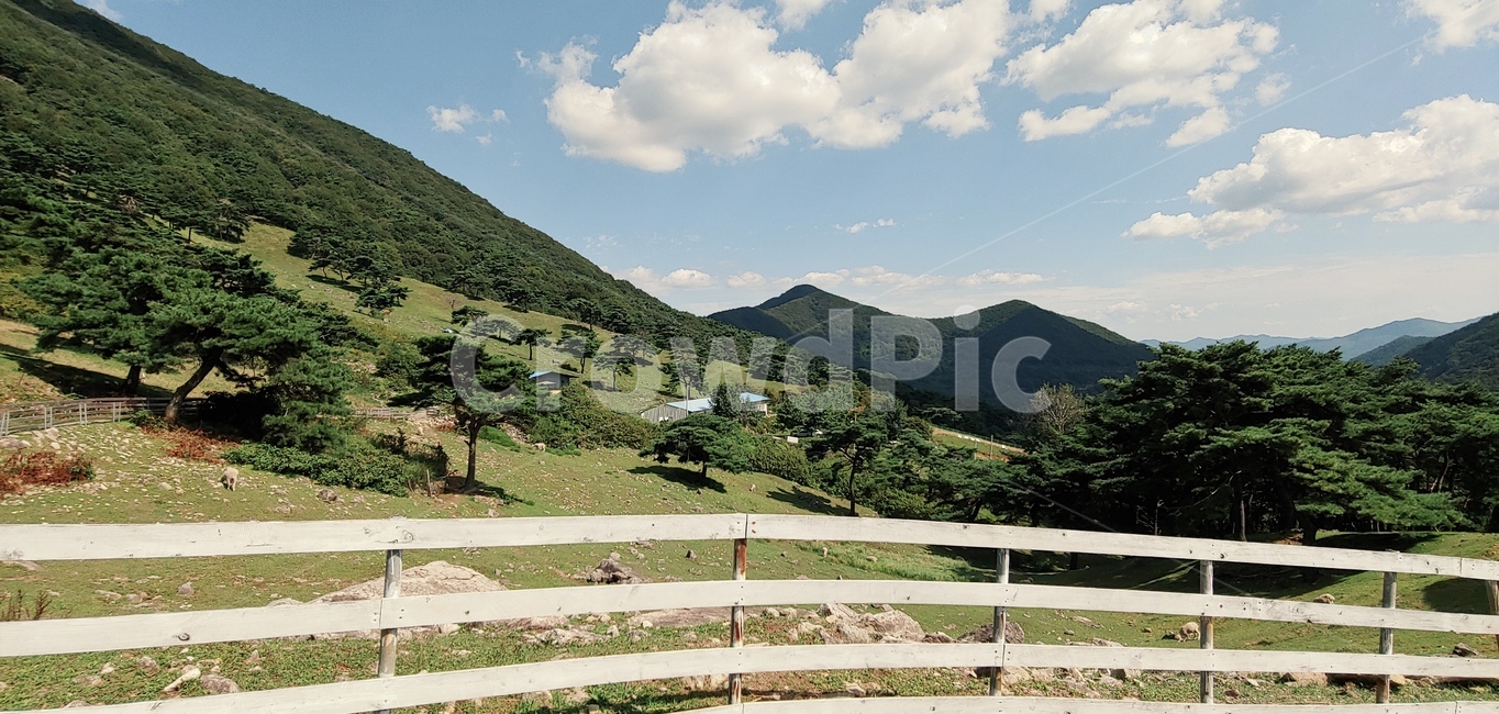 nature,자연,countryside,hill,언덕,목장