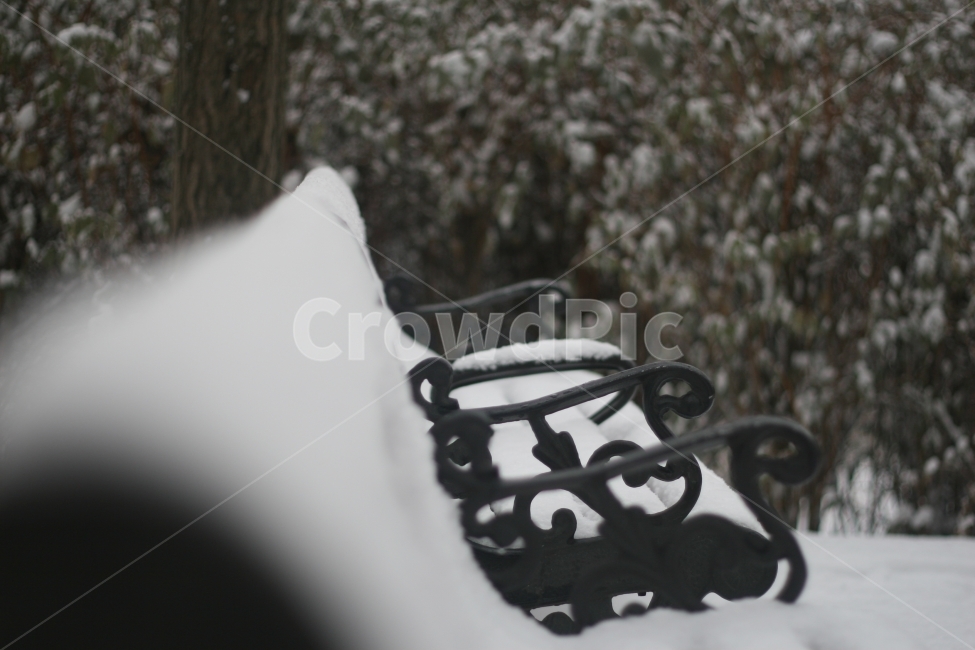 눈,겨울,벤치,차가움,하얀색,겨울,계절,winter,season