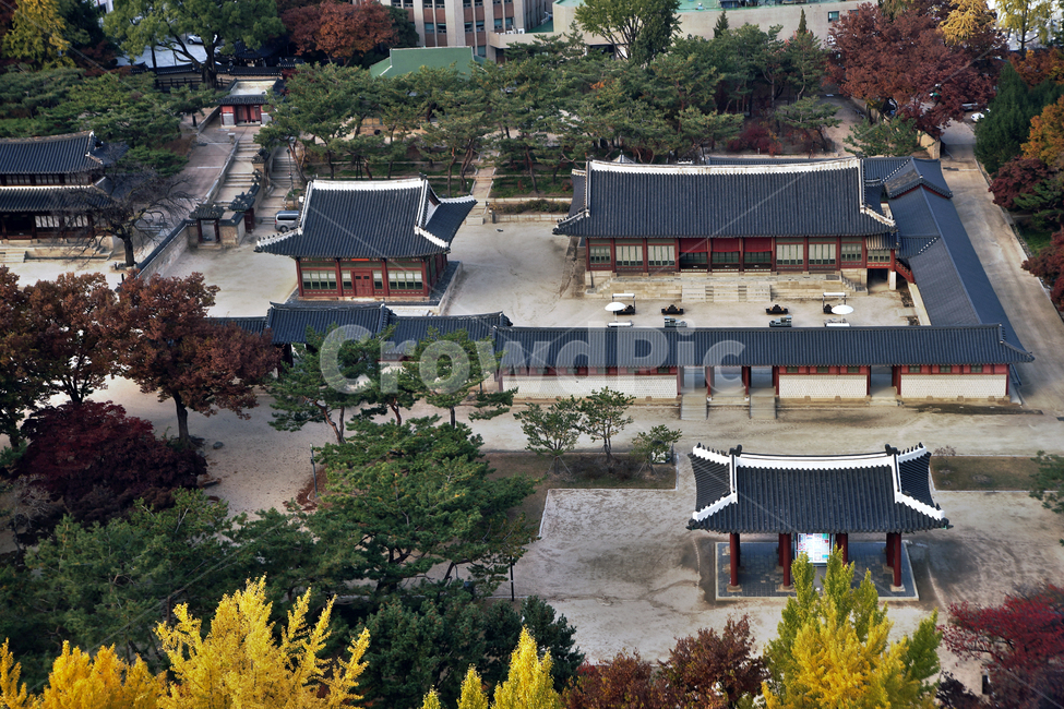 덕수궁,궁궐,가을,계절,서소문,도심,함녕전,덕흥전,한국전통,한국문화,korean traditional,korean culture