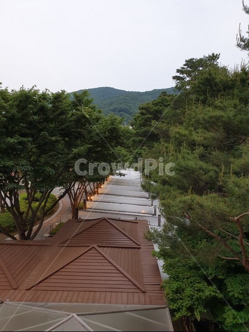 숲,숲속,지붕,나무,벤치,쉼터,산