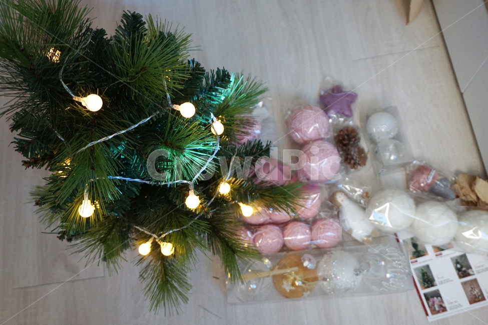 크리스마스트리,크리스마스트리꾸미기,christmastree,전구,소나무,장식,메리크리스마스,성탄절,merry christmas