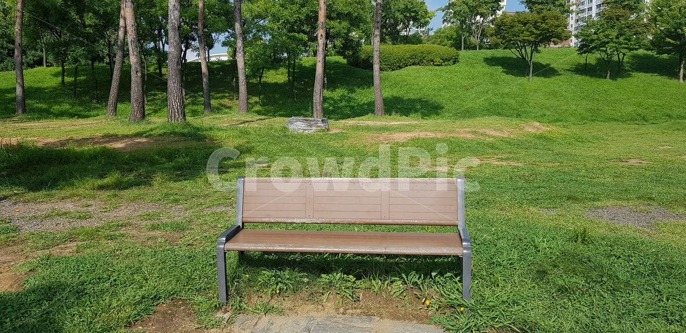 벤치,휴식,공원,나무,잔디,쉼,흙길,자연,풍경,초록나무,bench,공원벤치,parkbench