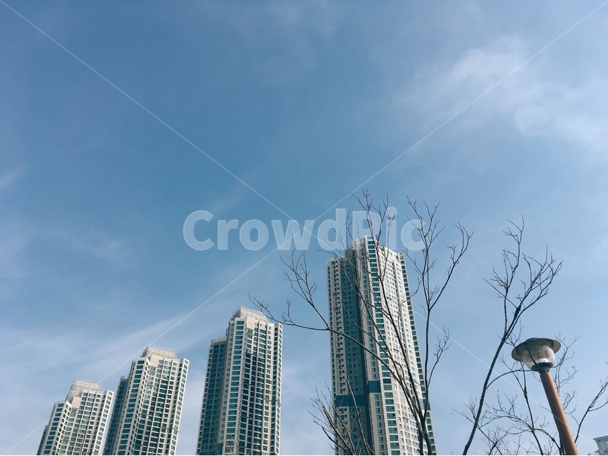 봄,겨울,청라,건물,나무,도시,풍경,city,landscape,한국도시풍경,한국도시경관,korea cityscape,office building,사무실 건물,building