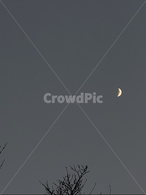 달,야경,초승달,감성사진,하늘,야경,밤,풍경,nightscape,night,landscape,nature,자연,outdoors,옥외