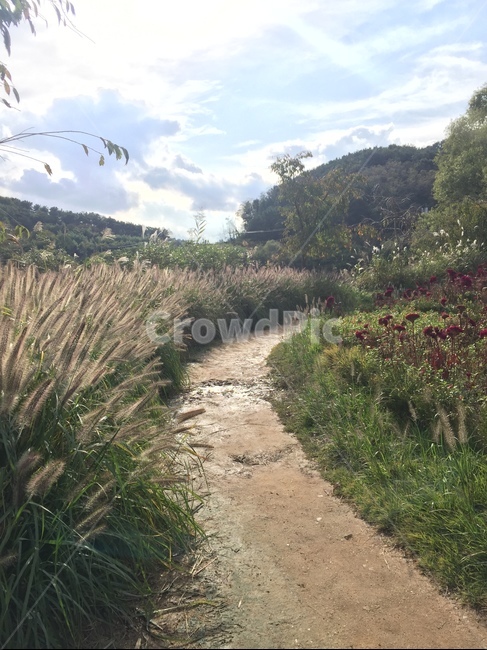 자연,풍경,길,나무,nature,자연,풍경,nature,landscape,ground,바닥,road,도로,gravel,자갈,dirt road,흙길