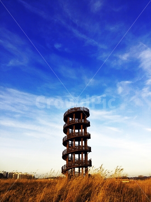 하늘,갈대,가을,시흥갯골생태공원,공원,가을,계절,fall,autumn,season,건축물,건물외관,exterior,building,structure,architecture,construction,건물,tower,탑