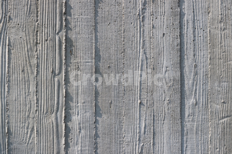 tree,pattern,construct,interior,background image,gray,solid wood,wooden board,background,wooden wall,wood