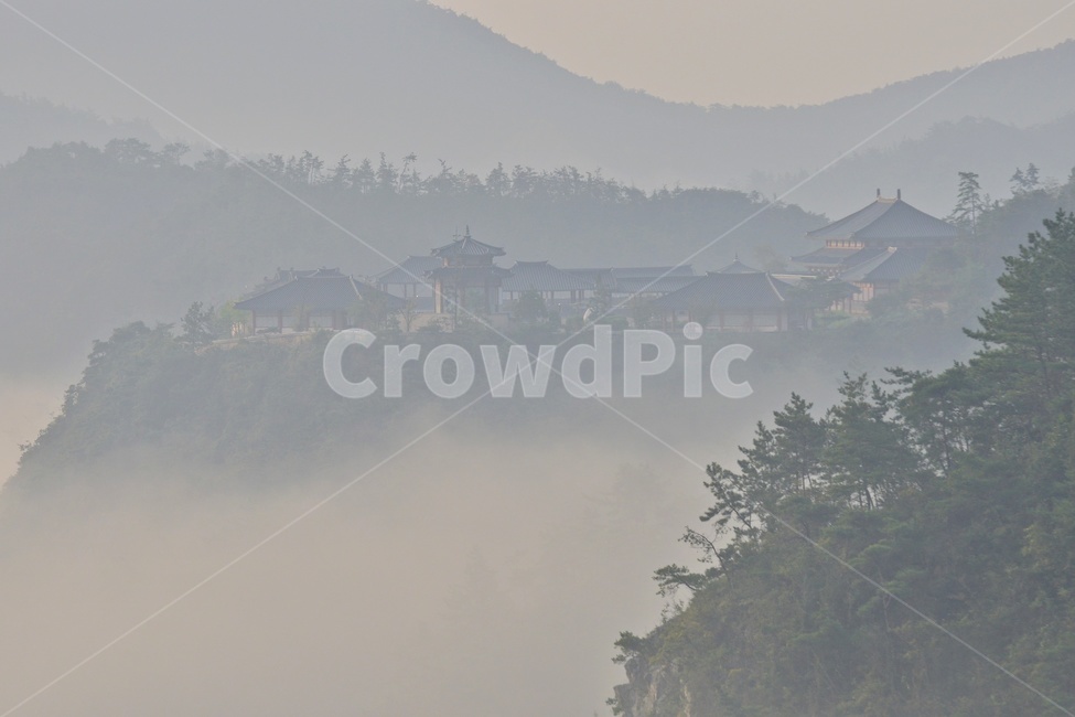 nature,자연,outdoors,옥외,weather,날씨,light,빛,flare,플레어,fog,안개,나주삼한지,삼한지,삼한지일출,여명,아침,해돋이,물안개,운해,자연,풍경,nature,landscape,한국자연풍경,한국자연경관,korea nature landscape