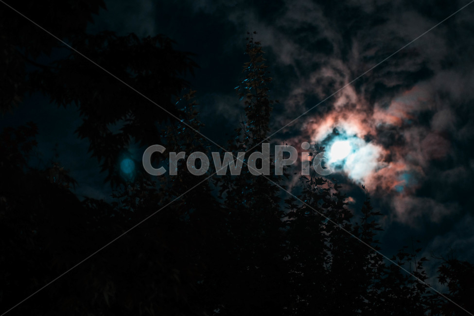 달,보름달,하늘,구름,감성,moon,fullmoon,cloud,sky,moody,자연,nature,밤,자연,풍경,nature,landscape,야경,밤,nightscape,night,outdoors,옥외
