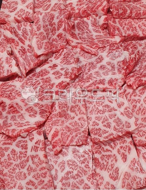 소고기,마블링,살치살,날것,marbling,beef,고기,생고기,육식,음식,쇠고기