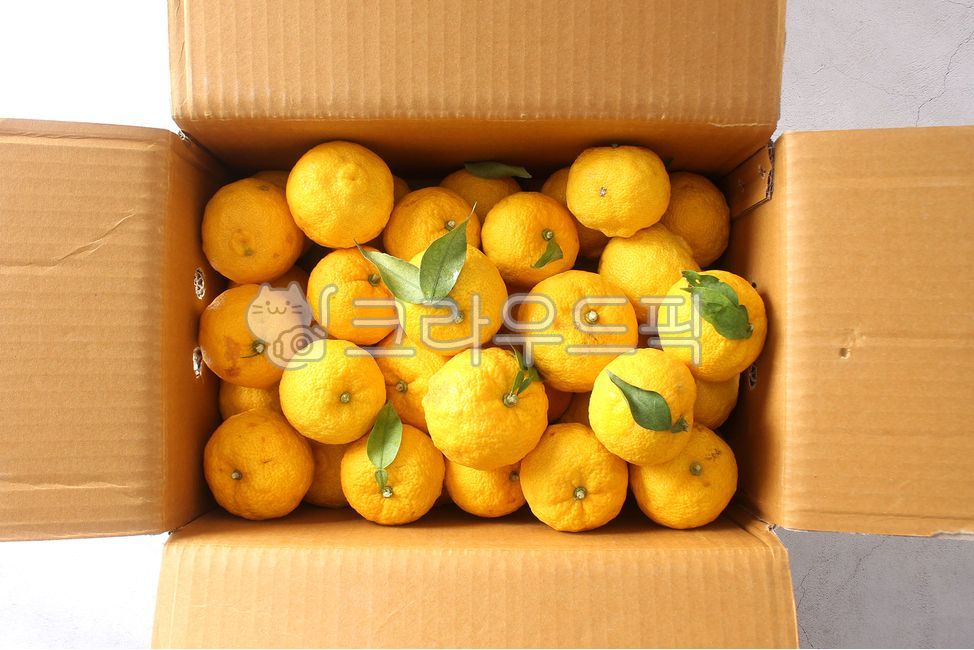 유자,감귤,과일,열매,유자박스,유자상자,감귤류과일,food,음식,fruit,겨울과일