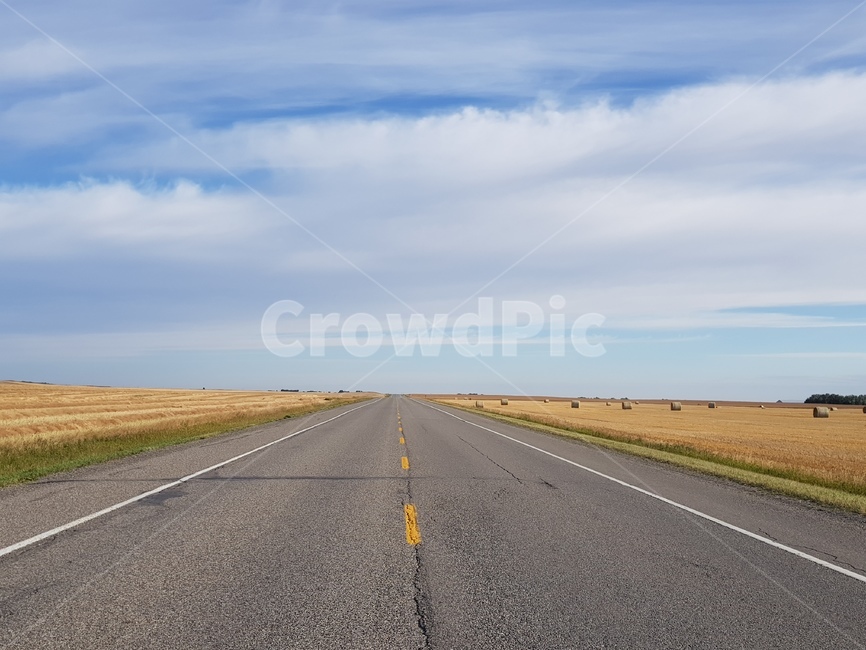 road,도로,아스팔트,highway,고속도로