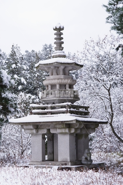 석탑,겨울석탑,흰색,설경,눈오는날