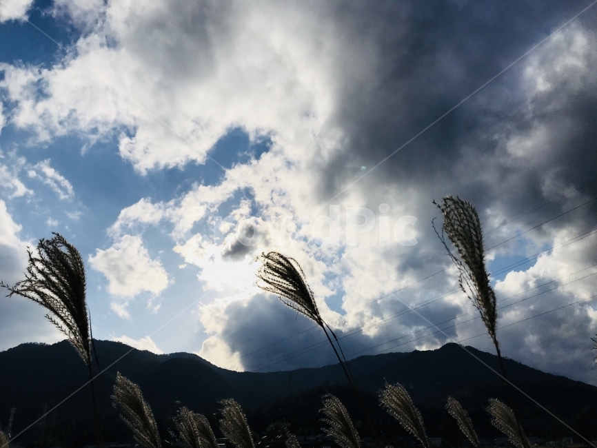산,풍경,풍경사진,하늘,구름,바람,가을,12월,가을,계절,fall,autumn,season,자연,풍경,nature,landscape,grass,잔디,plant,식물,lawn