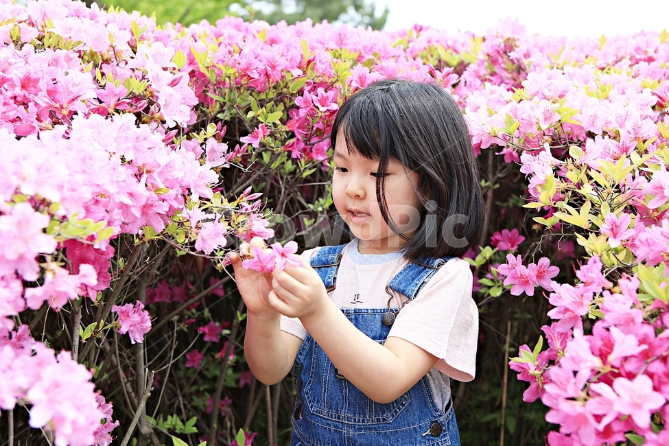 여자아이,아이,어린이,사람,자연,배경