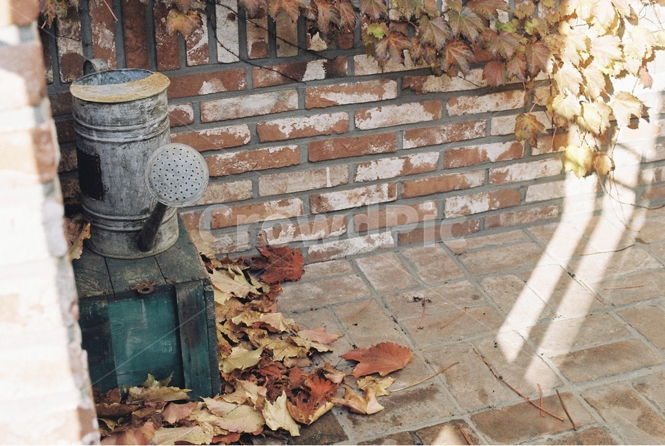 가을,낙엽,단풍,인테리어,주택,벽돌,가을,계절,fall,autumn,season,빈티지사진,빈티지느낌,빈티지감성,vintage,brick,flagstone,판석