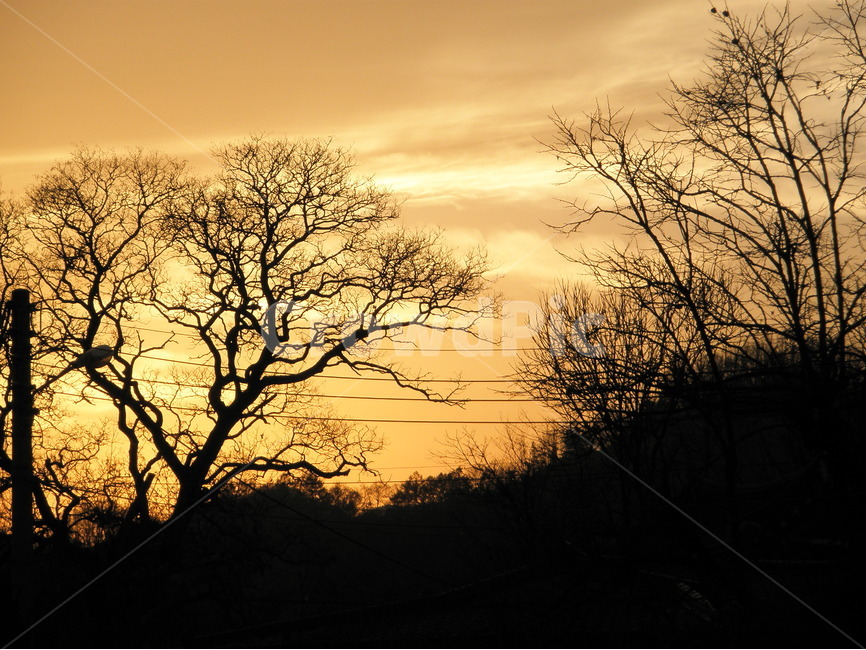 문경,자연풍경,풍경,노을,시골풍경,나무,실루엣,하늘,sky,tree,sunset,nature,landscape,korea,자연,풍경,nature,landscape,실루엣,그림자,silhouette,shadow,outdoors,옥외,일몰,dusk,황혼,dawn,새벽,red sky,붉은 하늘