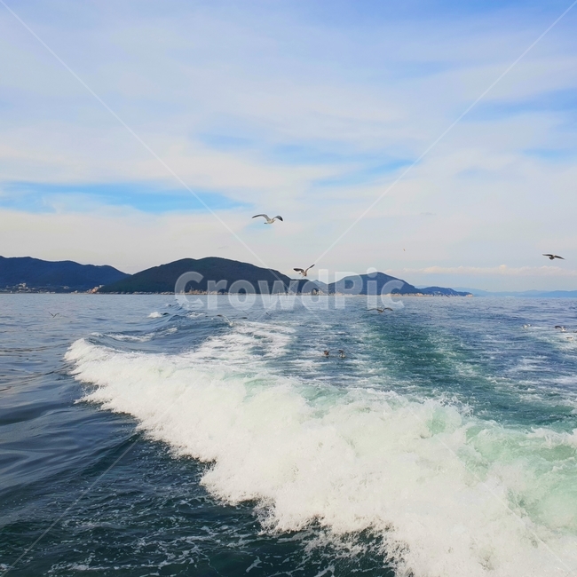 자연,바다,하늘,구름,나무,blue,sky,sea,감성,푸른,초록,일출