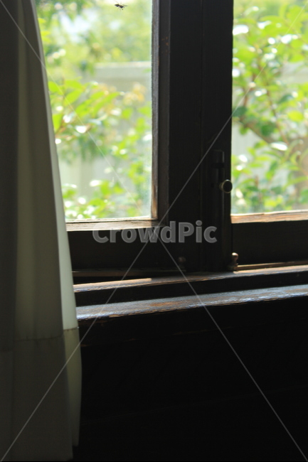 창가,창,창문,문,햇살,한적,평화,window,door,japanese,숲,forest,인테리어,실내디자인,interior design