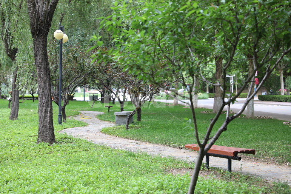 나무,식물,숲속,길,풍경,자연,풍경,nature,landscape