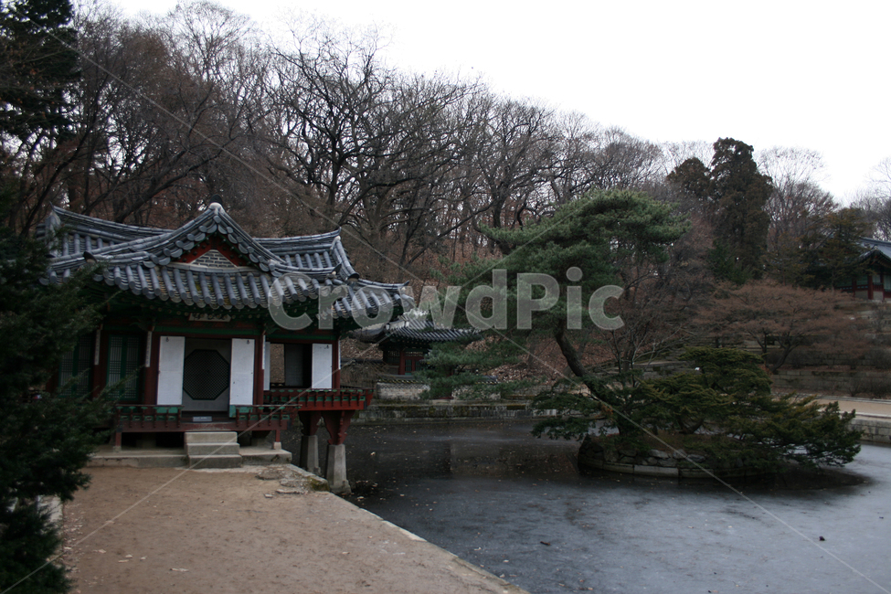 창덕궁,후원,부용정,부용지,세계문화유산,문화유산,한국,한국전통,한국문화,korean traditional,korean culture,랜드마크,landmark,tourist attraction,한국랜드마크,한국관광지,한국명소,korea landmark,korea tourist attraction