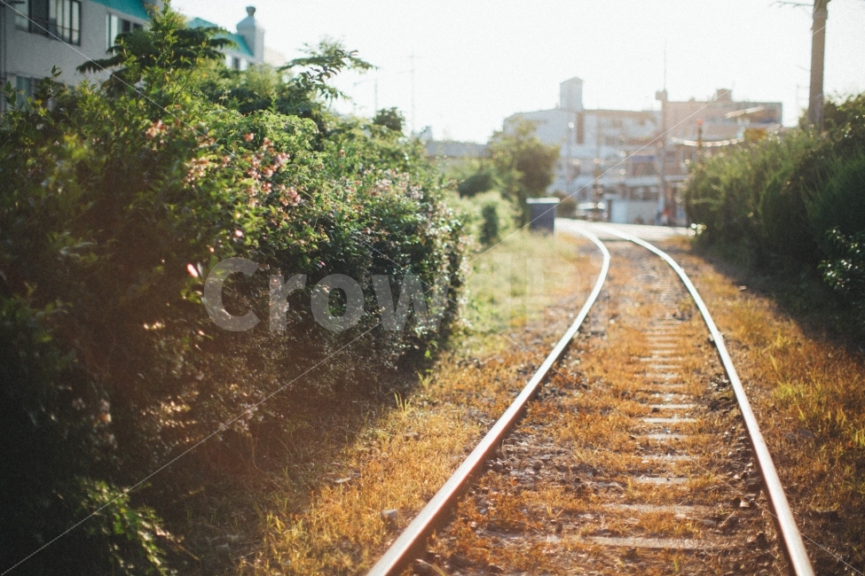 철길,감성,스냅,햇살,식물,교통,교통수단,traffic,transportation,감성,sensible,feeling,railway,철도,train track,기찻길,rail,레일