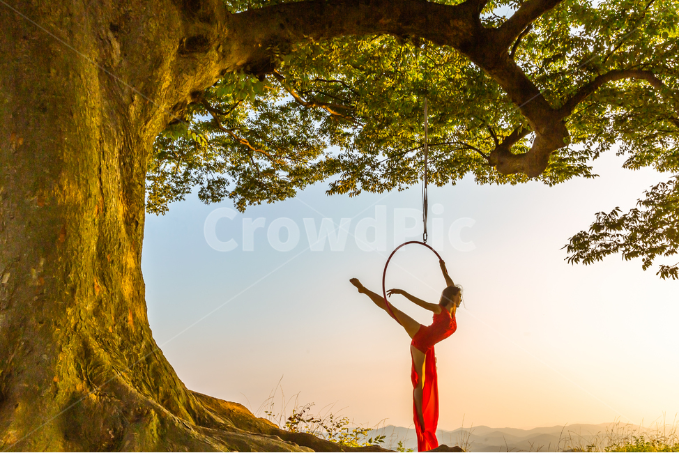 에어리얼후프,요가,노을풍경,바디프로필,사람,person,aerialhoop,서커스,곡예,아라베스크,사람,인물,인간,human,person,여성,여자,woman,female,lady