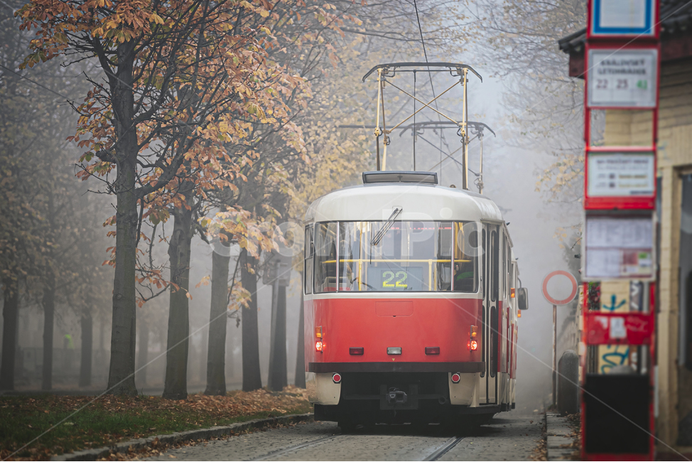 차량,transportation,교통,cablecar,케이블카,automobile,트램,프라하,체코,외국도시,해외도시,전차,기차,vehicle