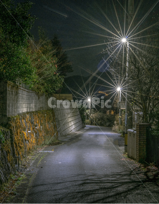도로,가로등,불빛,새벽,길바닥,야경,밤,풍경,nightscape,night,landscape,골목길,alley,road,town,도시,city,시티,street,거리,building,건물,urban,어반