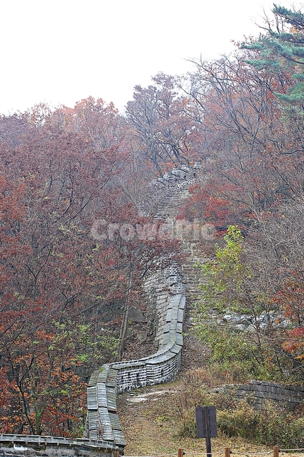 남한산성,성,성곽,단풍,낙엽,길,둘레길,숲,숲길,담,돌담,가을,자연,풍경,벽,울긋불긋,산성,식물,가을,계절,fall,autumn,season,한국전통,한국문화,korean traditional,korean culture