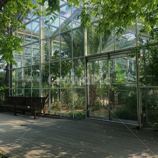 선유도공원,온실,초록,나무,꽃,식물,자연,plants,nature,나무,trees,wood