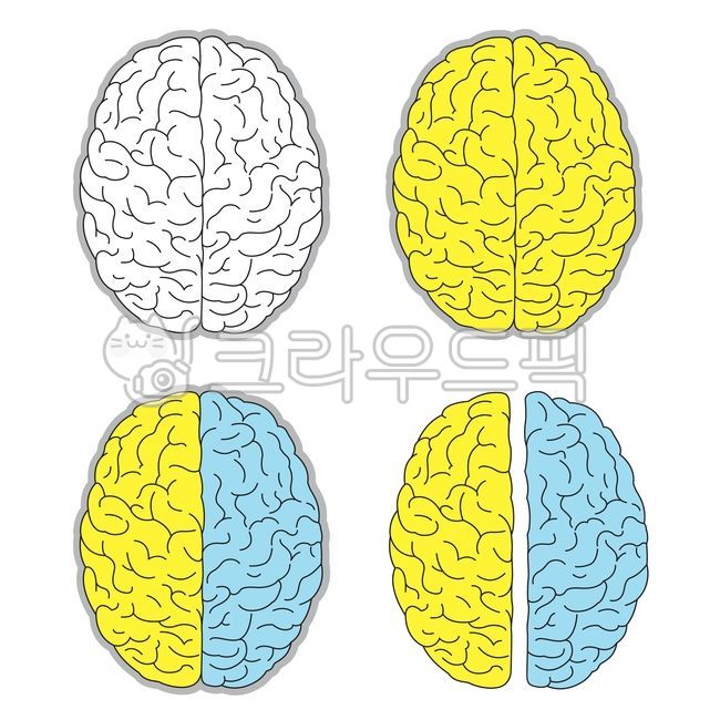 뇌,뇌일러스트,뇌그래픽,뇌조직,뇌그림,두뇌그림,두뇌