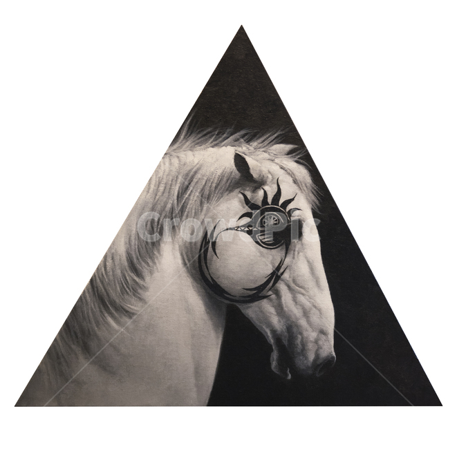 말,말그림,백마,유화,예술,그림,미술,바탕,배경,배경이미지,백그라운드,동물,animal,예술,art,누끼,remove background