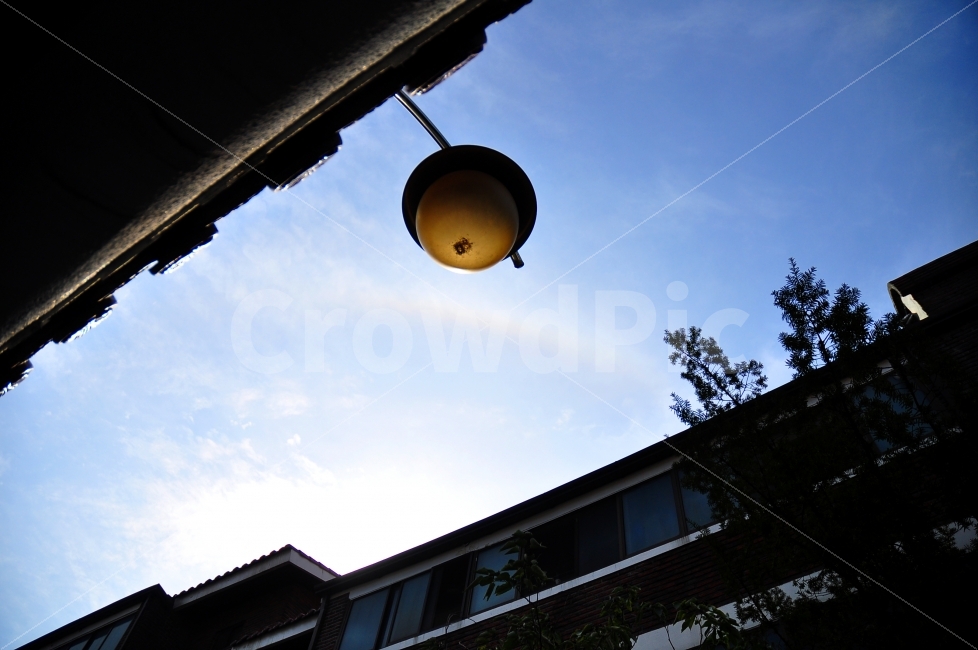 집앞,전등,하늘,무지개,가을,lamp,sky,rainbow,autumn,season,도시,풍경,city,landscape