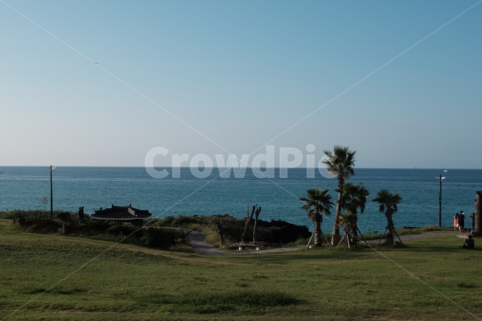 제주,제주바다,함덕해수욕장,함덕서우봉해변,야자수,함덕,jeju,beach,자연,풍경,nature,landscape,한국자연풍경,한국자연경관,korea nature landscape,제주도,jeju,jeju island