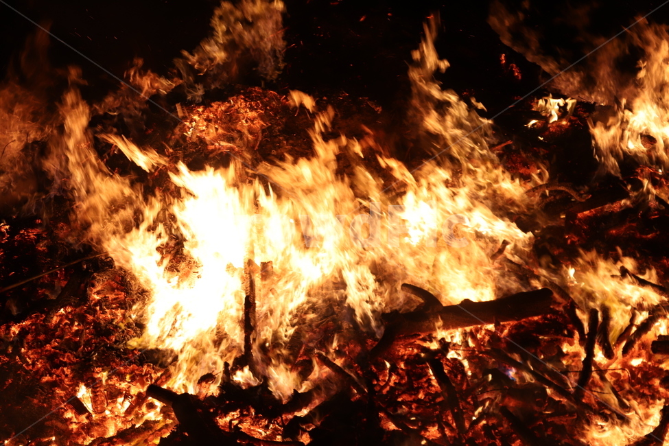 fire,불,불꽃,모닥불,flame,캠핑,burn,burning,camping,활활,캠프파이어