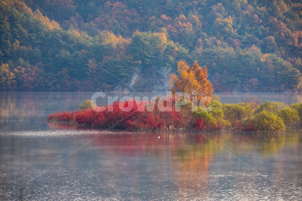 가을풍경,가을,반영,자연,nature,용담호,tree,plant,가을,계절,fall,autumn,season,자연,풍경,nature,landscape,한국자연풍경,한국자연경관,korea nature landscape