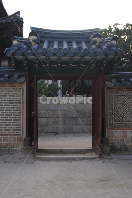 덕수궁,궁,palace,deoksugung,나무,tree,한국전통,한국문화,korean traditional,korean culture,건축물,건물외관,exterior,building,structure,architecture,construction
