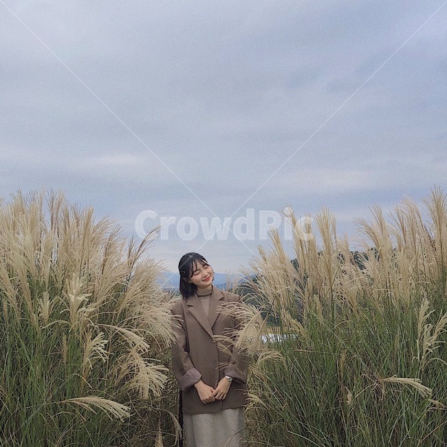 갈대,가을,인물,여자,사람,사람,인물,인간,human,person,여성,여자,woman,female,lady,여행,휴가,traveling,vacation,trip