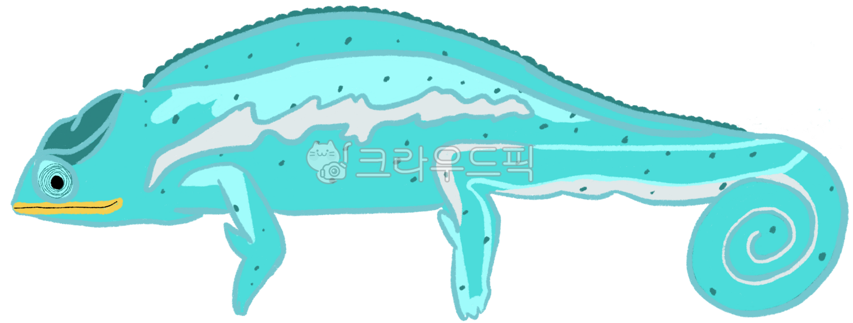 Reptiles,chameleons,transformations,lizards,pretty reptiles